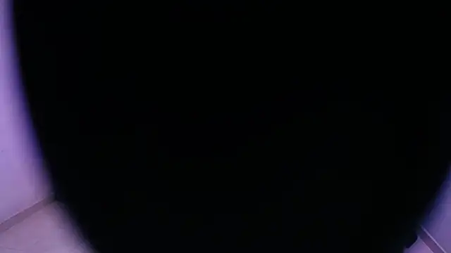 Snapshot of Sofia_tgn chatting on 8, 6, 2026 Sofia tgn online show from 8, 6, 2026