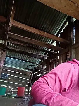 seacyre online show from 13, 6, 2026