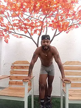 Dante Knox online show from 3, 6, 2026