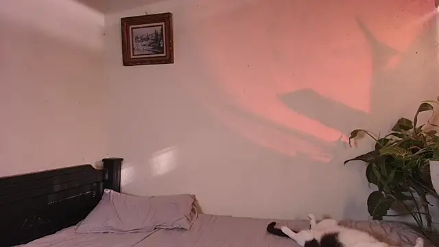 Snapshot of slowburnmystic chatting on 11, 6, 2026 slowburnmystic online show from 11, 6, 2026