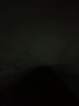Vic187319 online show from 2, 2, 2026