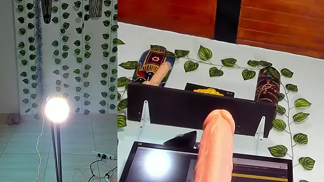 bella  funny online show from 16, 6, 2026