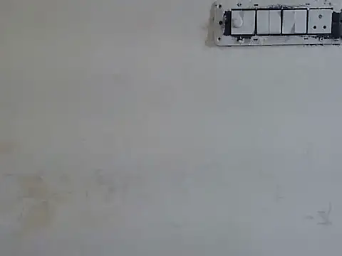 cute momo love online show from 9, 6, 2026