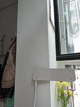 alexandeerr1986 online show from 11, 6, 2026