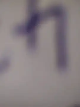 Sky-rain98 online show from 19, 6, 2026