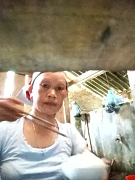 Heli pusy online show from 19, 6, 2026