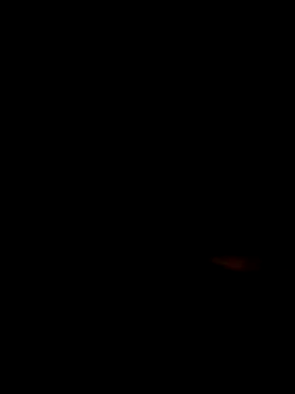 Flavyaaa online show from 2, 7, 2026