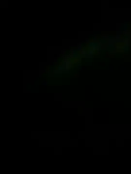 ZzyzyZ-009 online show from 25, 5, 2026