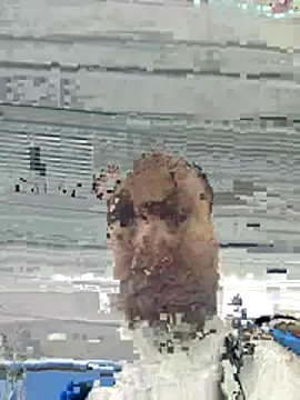 Snapshot of dickforpussyy chatting on 7, 6, 2026 dickforpussyy online show from 7, 6, 2026