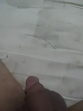 TootedFreezing online show from 19, 5, 2026
