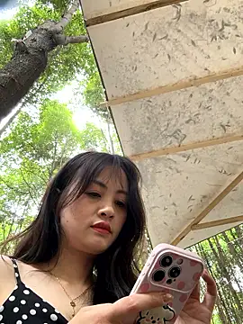 huihui 520 online show from 14, 6, 2026