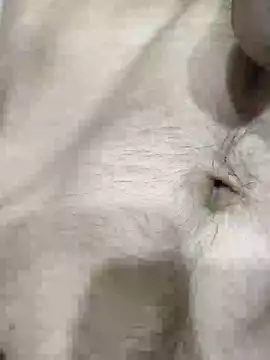 pussyedestroyer online show from 31, 5, 2026