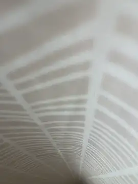temporaryxl online show from 16, 6, 2026