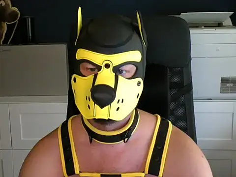 WildyLynx online show from 7, 7, 2026