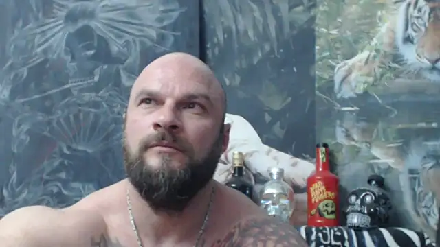 viking 30 online show from 29, 5, 2026