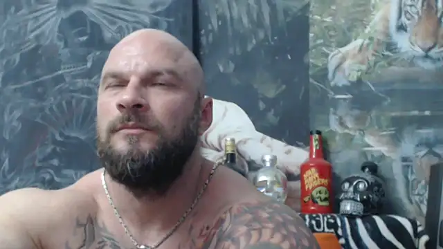 viking 30 online show from 11, 6, 2026