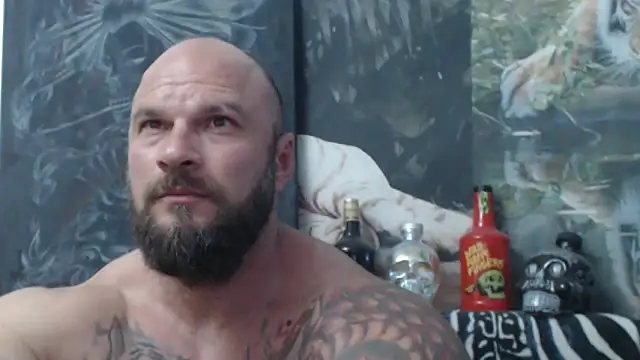 viking 30 online show from 17, 6, 2026