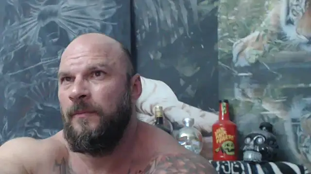 viking 30 online show from 21, 6, 2026