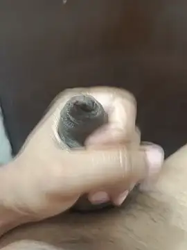 Deluxe dick online show from 20, 6, 2026