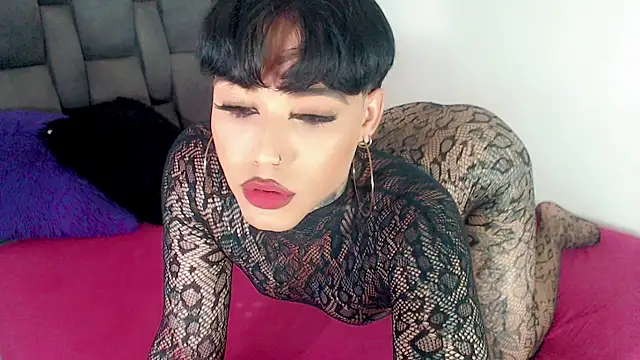 little star porn online show from 14, 6, 2026