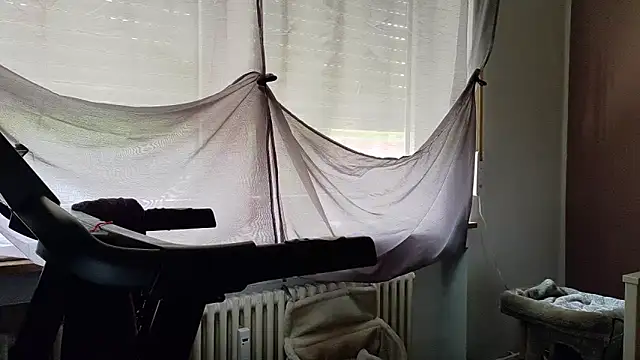 wetgerman 2 online show from 17, 6, 2026
