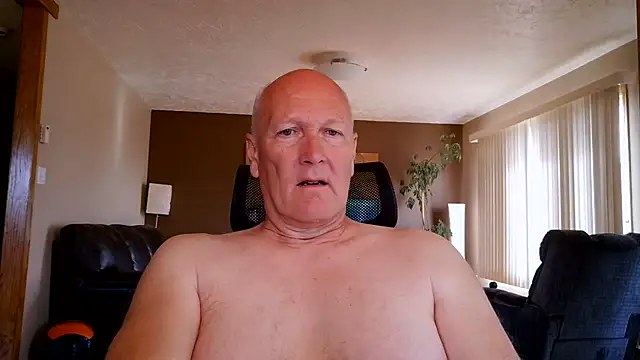 BasicAnt online show from 7, 6, 2026