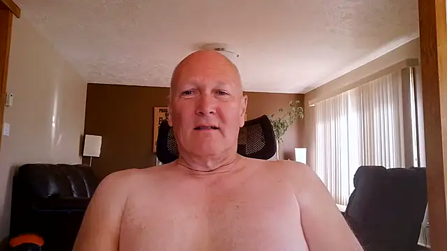 BasicAnt online show from 14, 6, 2026