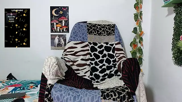 Dany milk online show from 15, 6, 2026