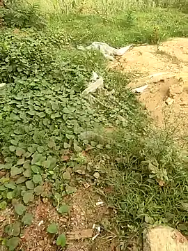COUPLLE VILLAGE online show from 19, 5, 2026