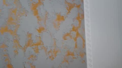 Alma online show from 16, 4, 2026