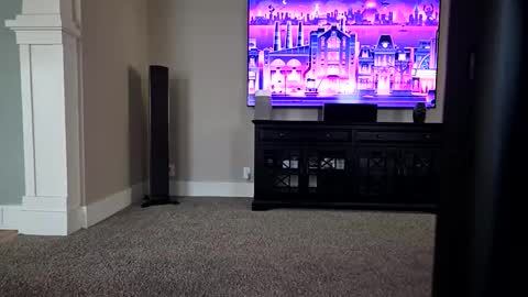 06girth online show from 22, 3, 2026