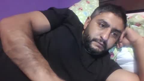 Snapshot of 07901767463 chatting on 22, 12, 2024 07901767463 online show from 22, 12, 2024