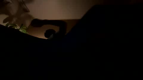 Snapshot of 11rastamilkdudbbc chatting on 21, 3, 2026 11rastamilkdudbbc online show from 21, 3, 2026