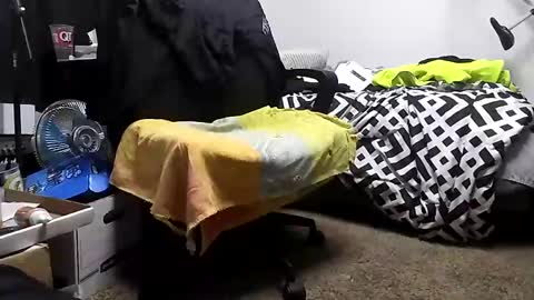 Snapshot of 16025834916 chatting on 14, 12, 2024 623-302-4866 azlivin online show from 14, 12, 2024