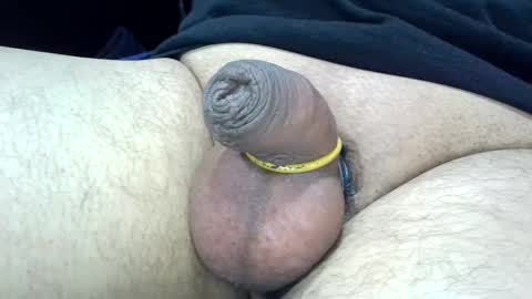 Snapshot of 1micapula chatting on 28, 12, 2024 MICA online show from 28, 12, 2024