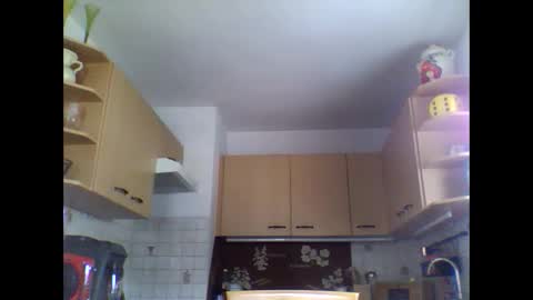 20x5cmgermanlongdong online show from 11, 3, 2025