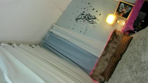 haduki online show from 21, 12, 2024