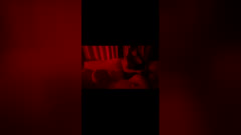 2littlefox online show from 7, 6, 2026