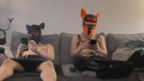 2pupsinheat online show from 11, 7, 2026