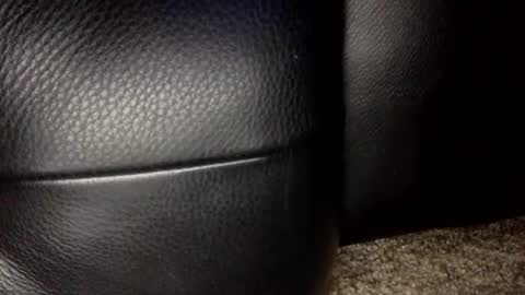 Snapshot of 30nick chatting on 18, 1, 2026 30nick online show from 18, 1, 2026