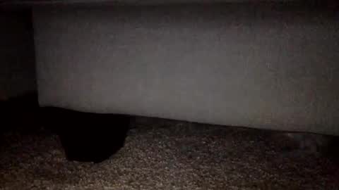 Snapshot of 30nick chatting on 2, 2, 2026 30nick online show from 2, 2, 2026