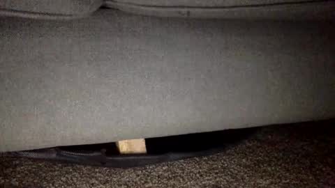 Snapshot of 30nick chatting on 25, 2, 2026 30nick online show from 25, 2, 2026