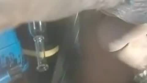 336cumdumpster online show from 8, 8, 2026