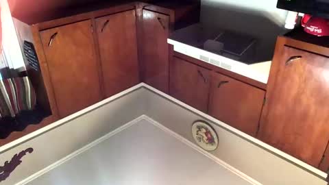 Snapshot of 33adidas chatting on 8, 11, 2025 33adidas online show from 8, 11, 2025