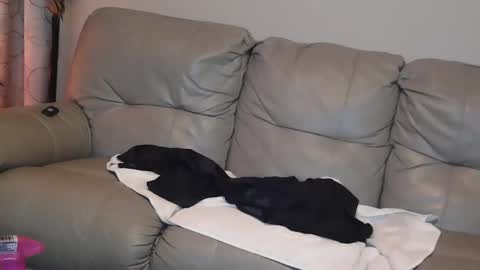 Jane online show from 1, 1, 2025