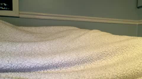 Snapshot of 56nicecock35 chatting on 8, 3, 2026 56nicecock35 online show from 8, 3, 2026