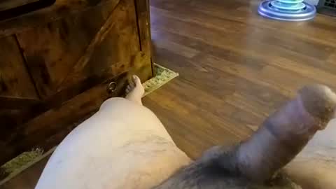 5tone_bon3 online show from 20, 1, 2025