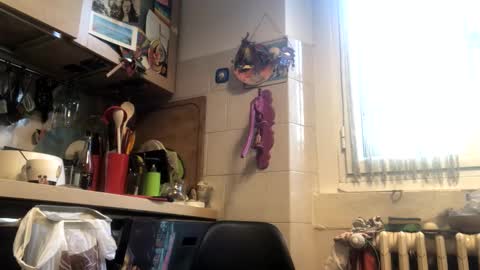 6990fiko online show from 21, 12, 2025