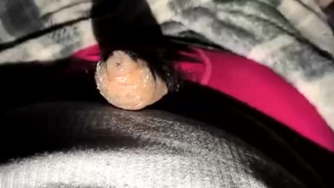 Snapshot of 69angel96 chatting on 23, 12, 2025 69angel96 online show from 23, 12, 2025