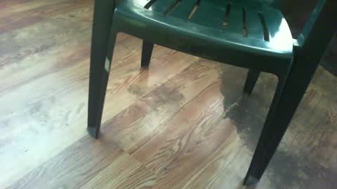 69forever453443 online show from 15, 9, 2025